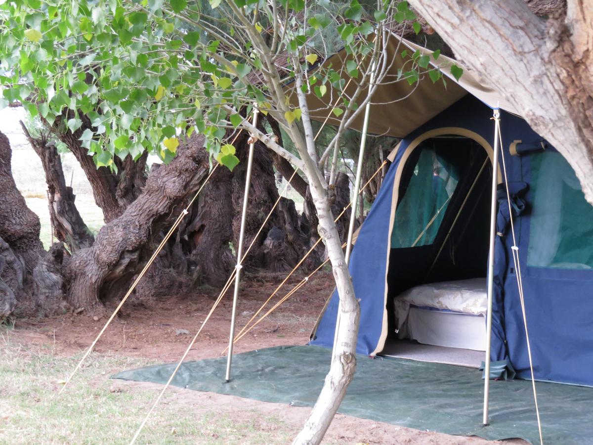 My Travelution - Travel Club - Karoo Gariep Nature Reserve