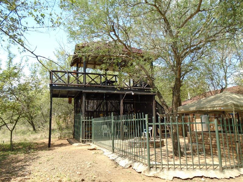 My Travelution - Travel Club - Volstruis Huis