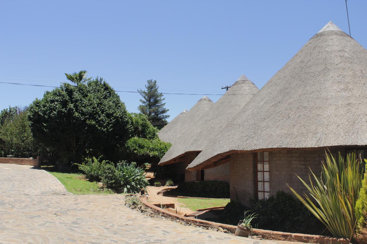 My Travelution - Travel Club - Bird Haven Guesthouse
