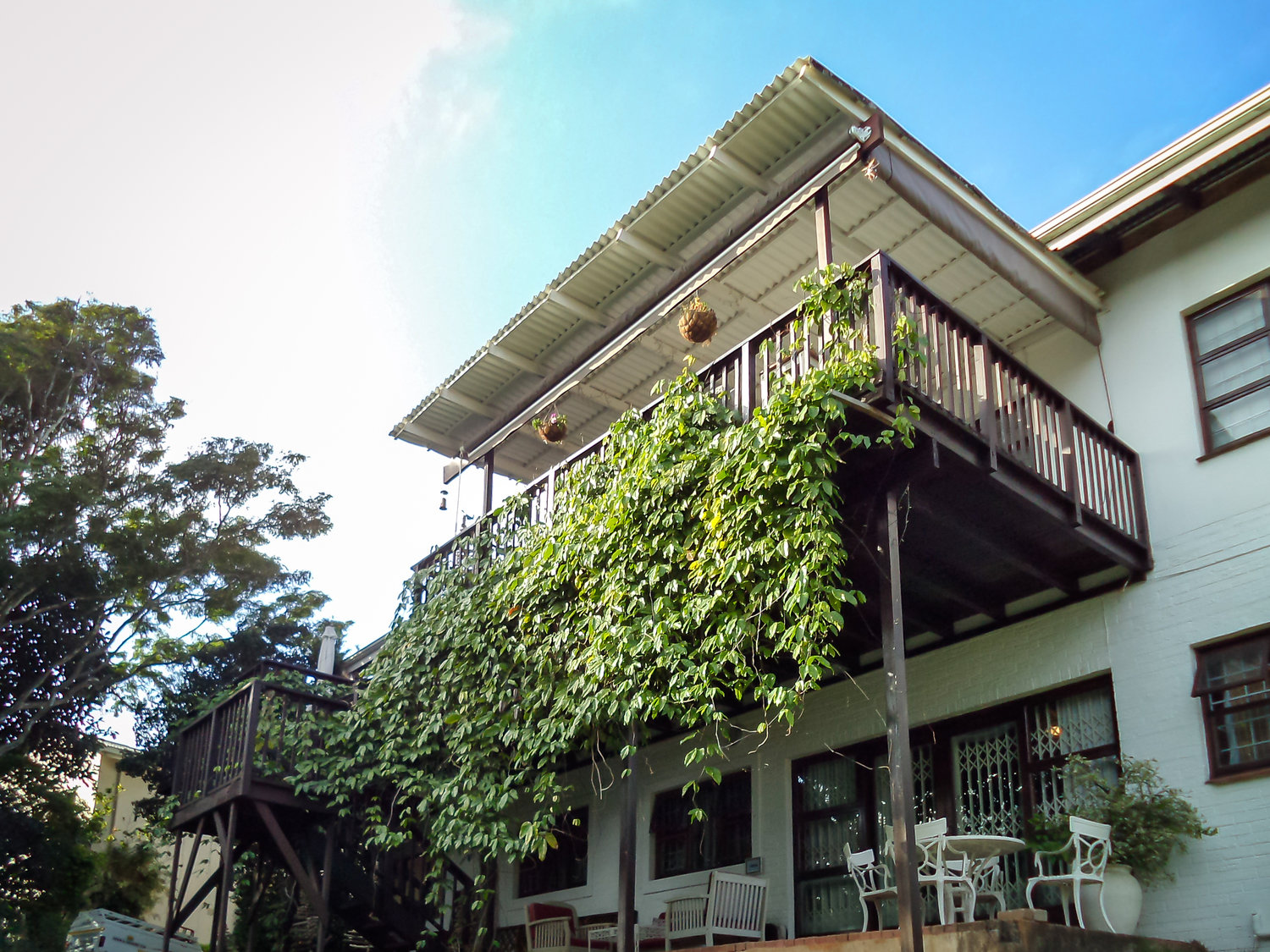 My Travelution - Travel Club - Laughing Gecko Lodge