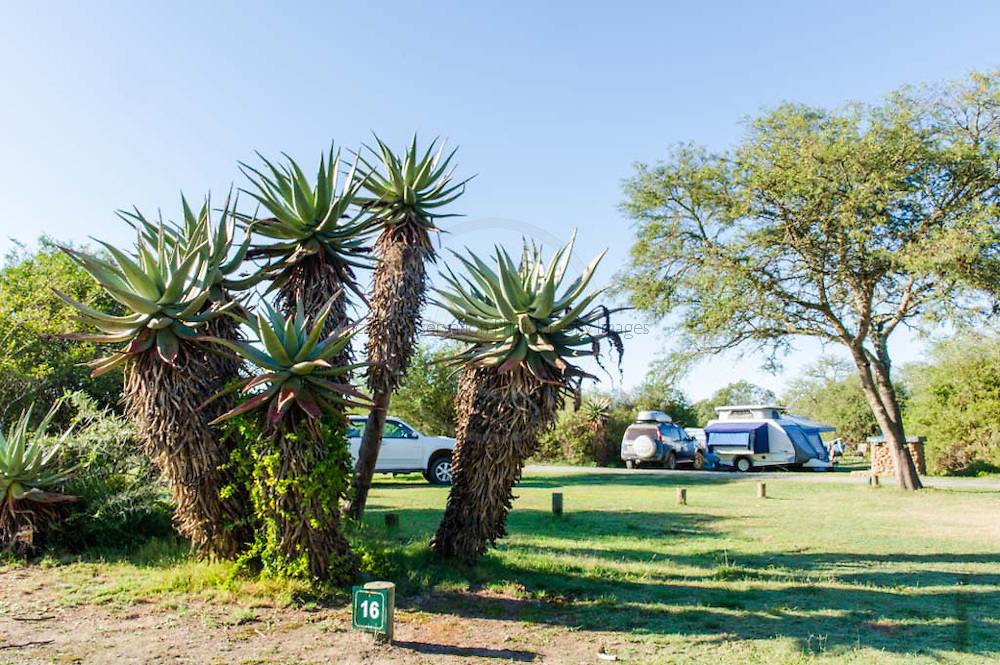 My Travelution - Travel Club - Bontebok National Park