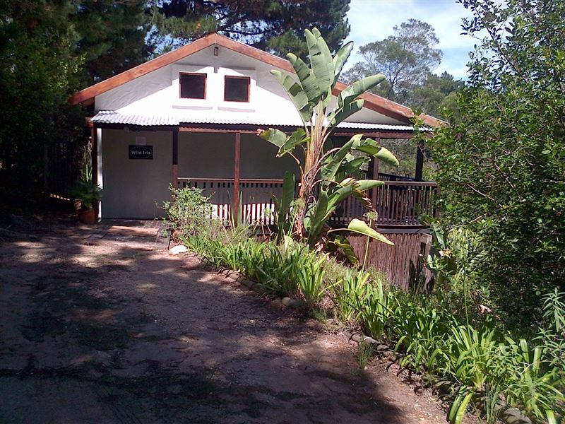 My Travelution - Travel Club - Forest Valley Cottages