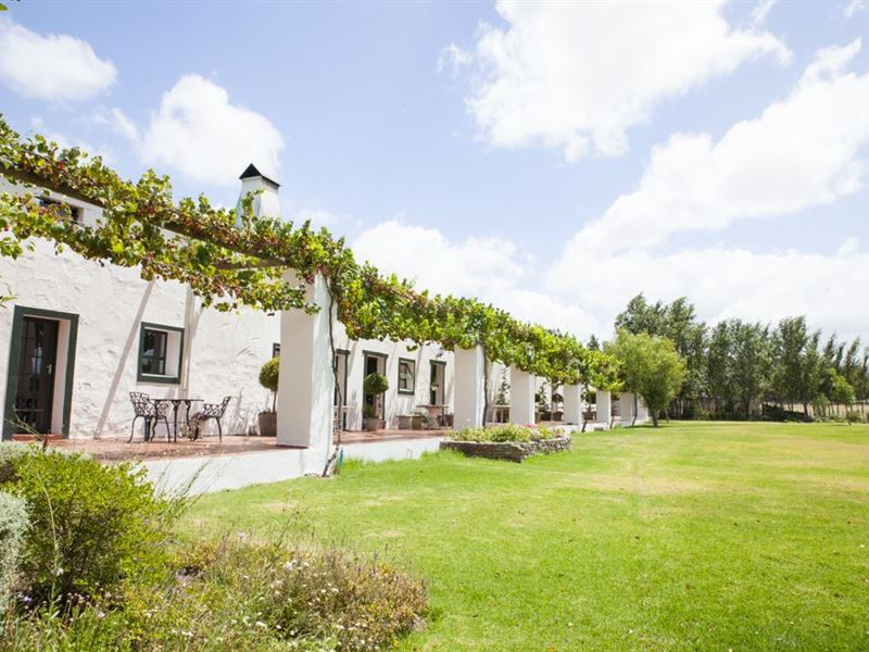 My Travelution - Travel Club - Muldersvlei Estate