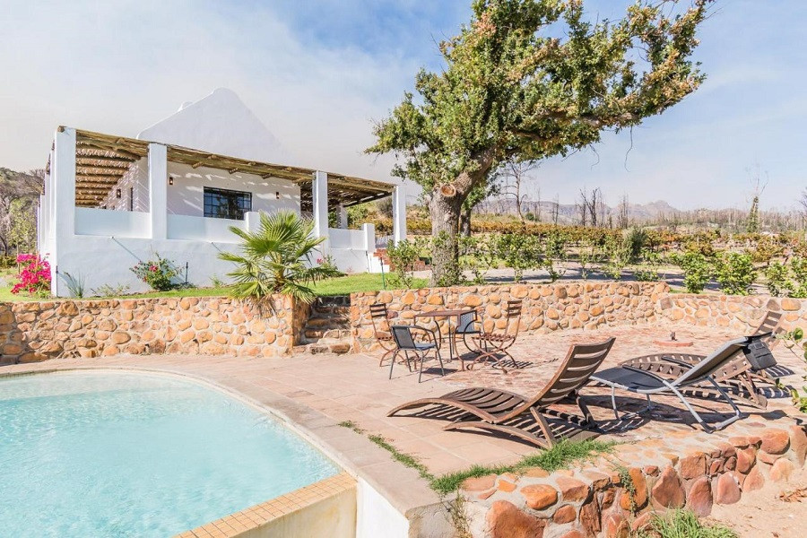 My Travelution - Travel Club - Druk My Niet- olive cottage