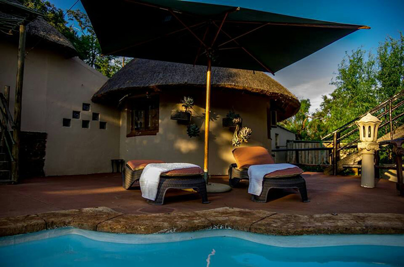 My Travelution - Travel Club - Khululeka Bushveld Guest Farm - house hornbill