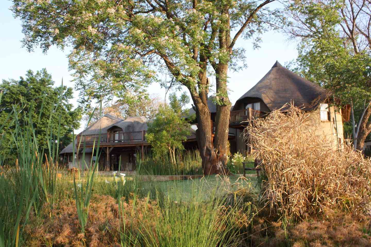 My Travelution - Travel Club - Bankenveld House Bed and Breakfast