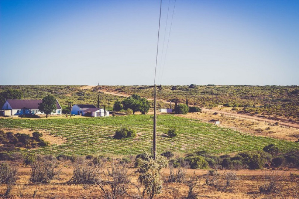 My Travelution - Travel Club - Kookfontein Farm Cottages