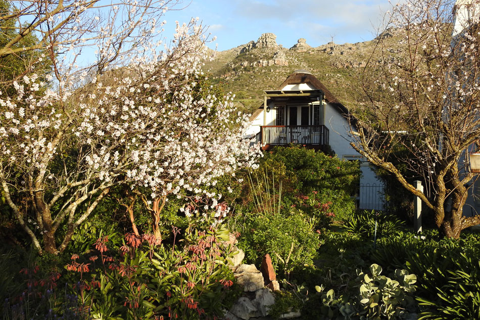 My Travelution - Travel Club - Kairos Disa Loft Cottage