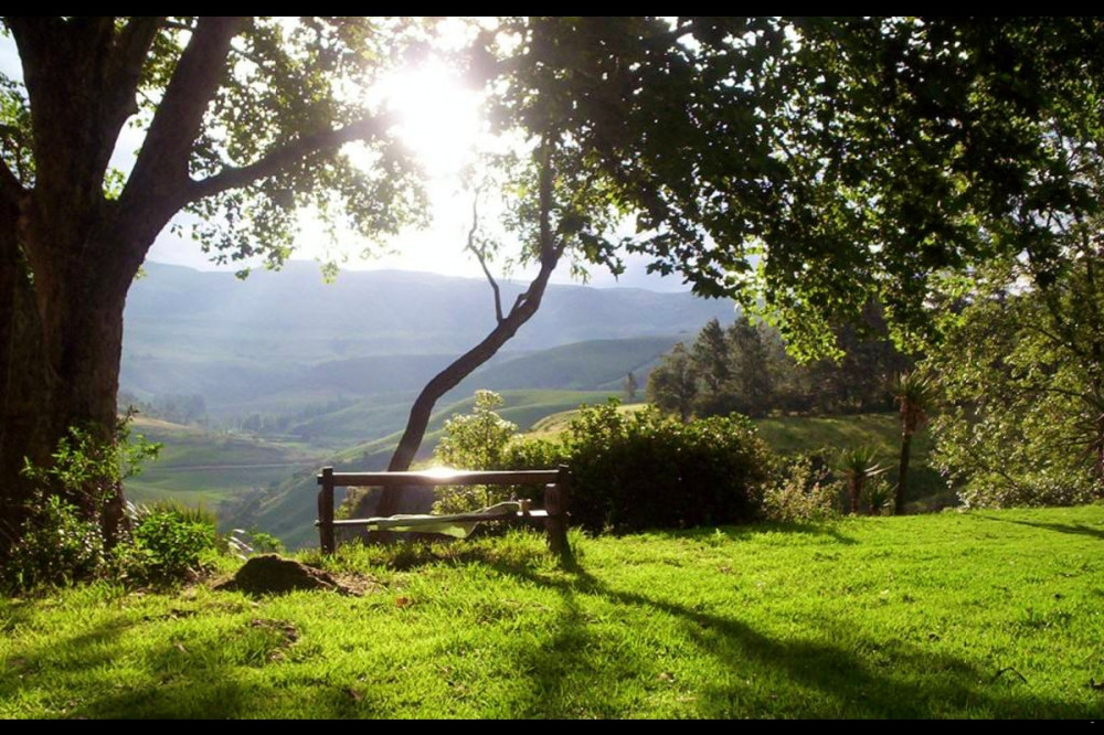 My Travelution - Travel Club - Drakenzicht Mountain Cottage
