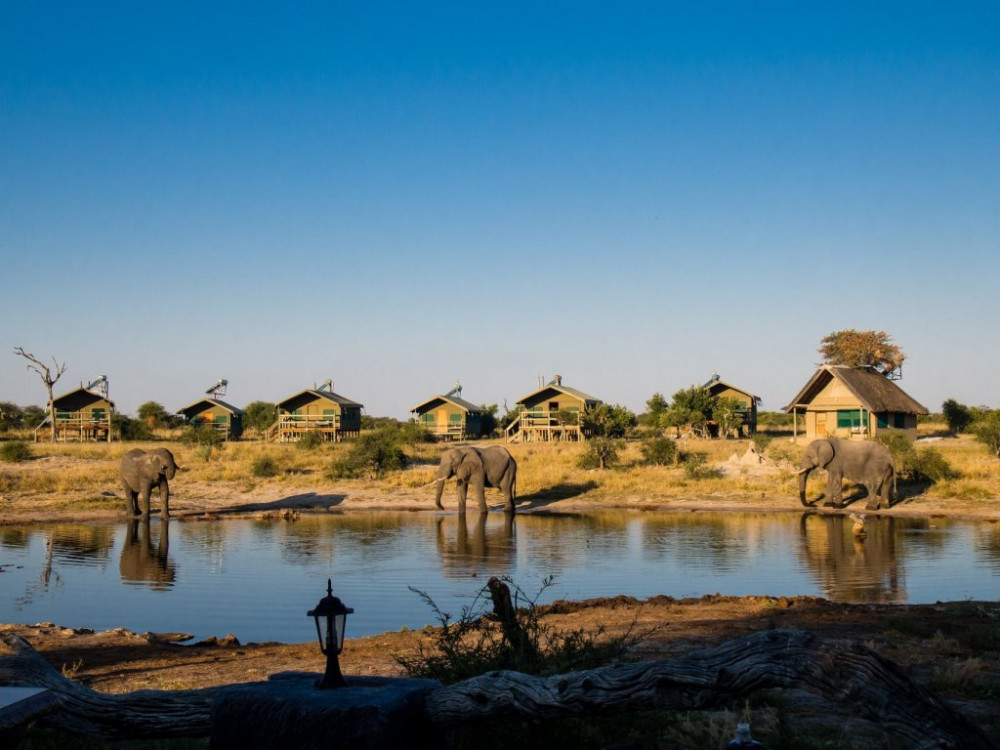 My Travelution - Travel Club - Elephant Sands Lodge