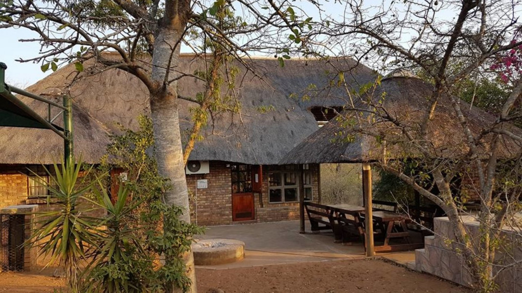 My Travelution - Travel Club - Bosbok Marloth Park In The Bush