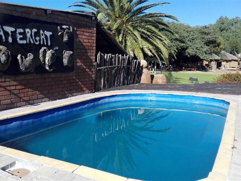 My Travelution - Travel Club - Kameelboom Lodge