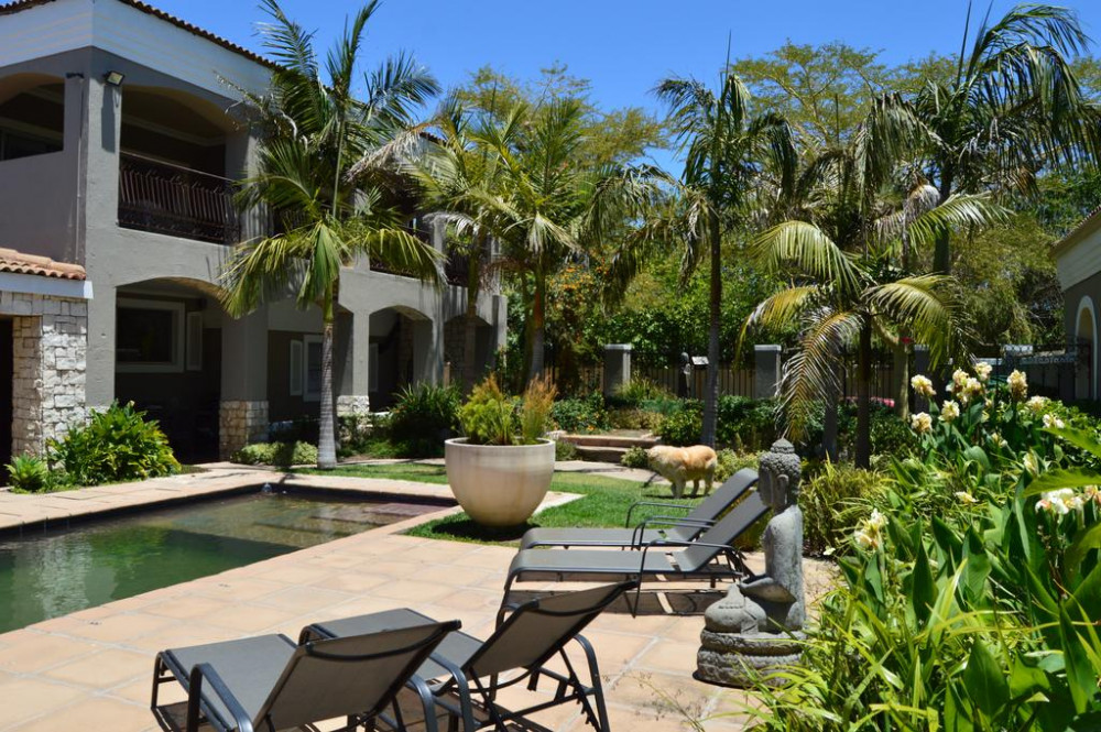 My Travelution - Travel Club - African Palm Cottage and Guesthouse
