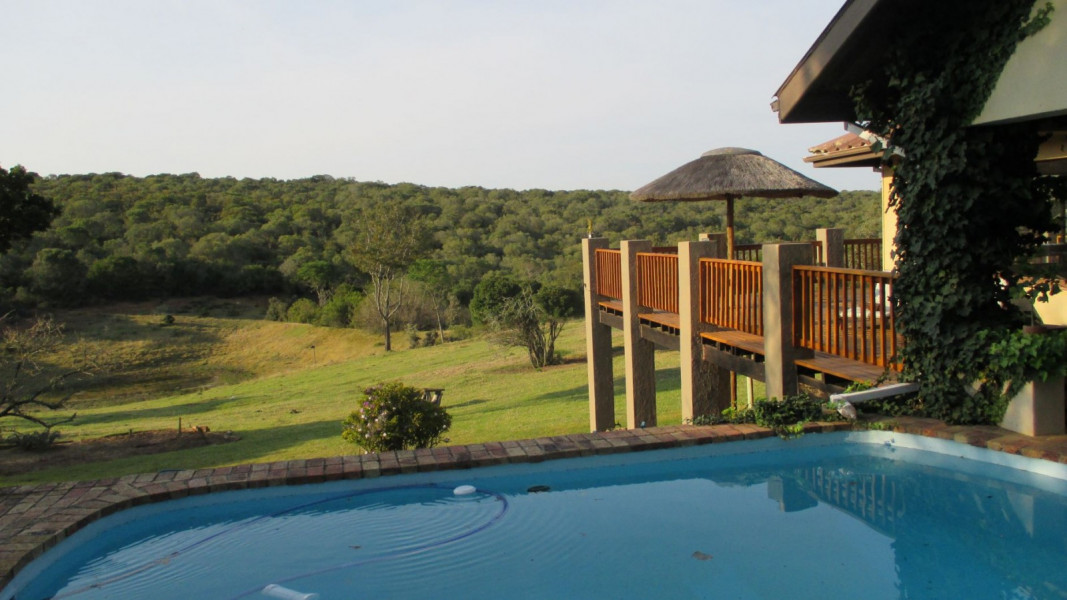 My Travelution - Travel Club - Aloe and Elephant Lodge