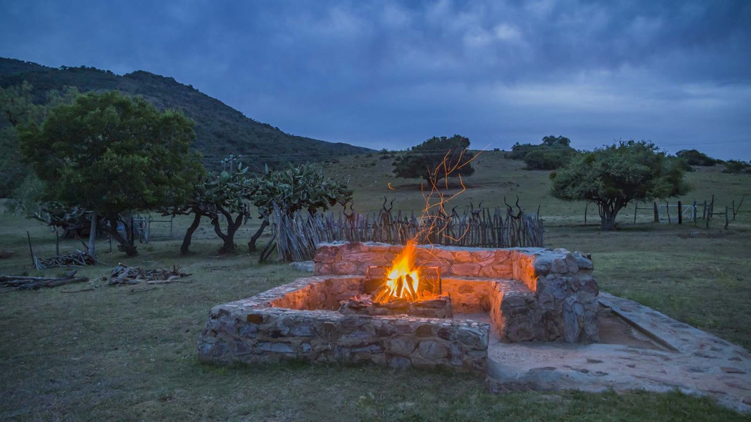 My Travelution - Travel Club - Kromrivier Farm Stays, Addo B&B & Camping Venue