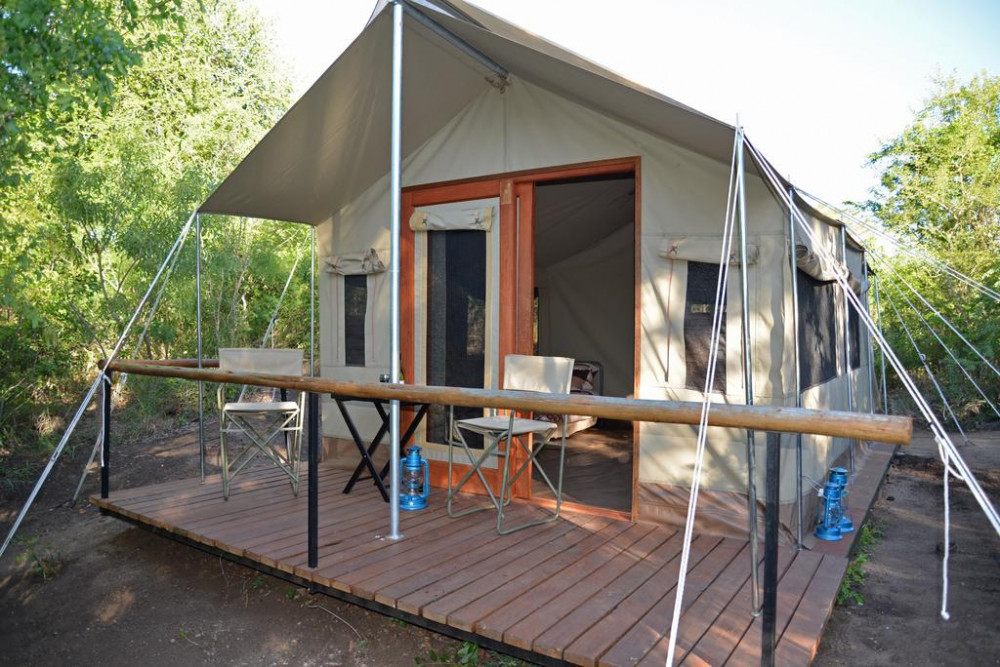 My Travelution - Travel Club - The Wild Olive Tree Camp