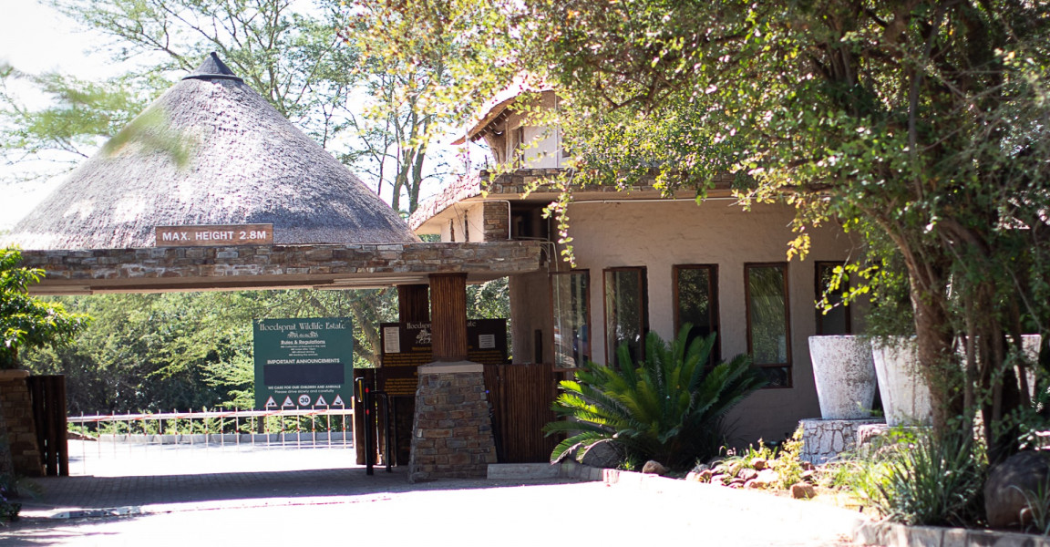 My Travelution - Travel Club - Shongane Safaris