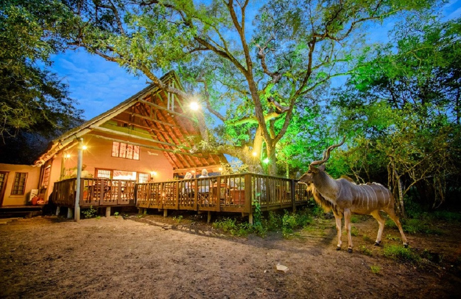 My Travelution - Travel Club - Needles Safari Lodge