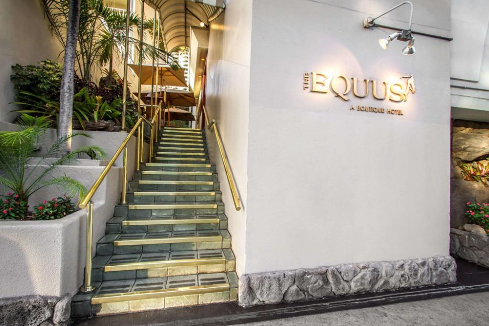 My Travelution - Travel Club - The Equus