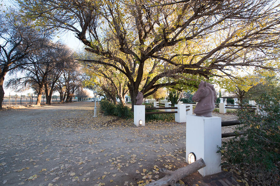 My Travelution - Travel Club - New Holme Karoo Guest Farm