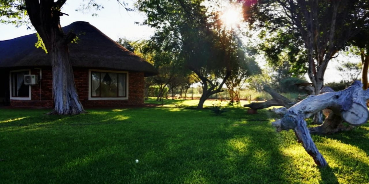 My Travelution - Travel Club - Belgium safari lodge