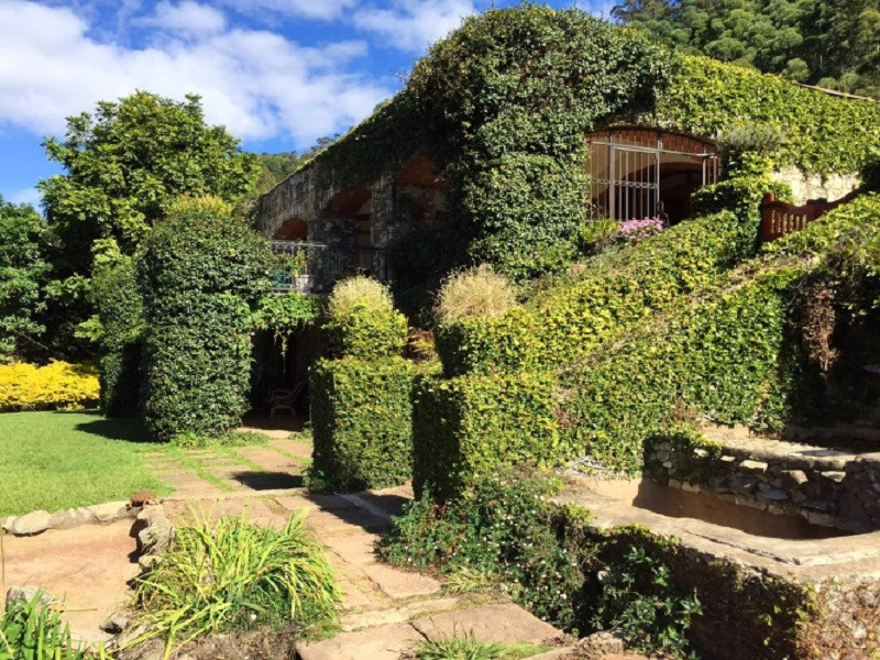 My Travelution - Travel Club - Magoebaskloof mountain estate