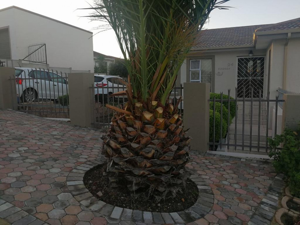 My Travelution - Travel Club - Evelyvans Apartments - 24B Kruger Apartment