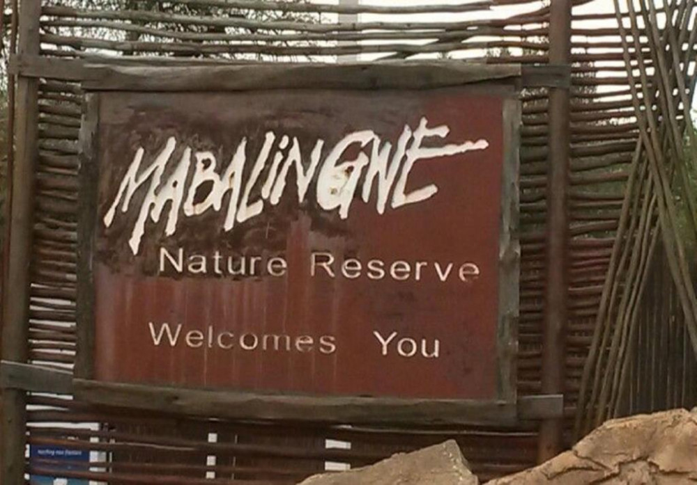 My Travelution - Travel Club - Treetops View, Mabalingwe Game Reserve