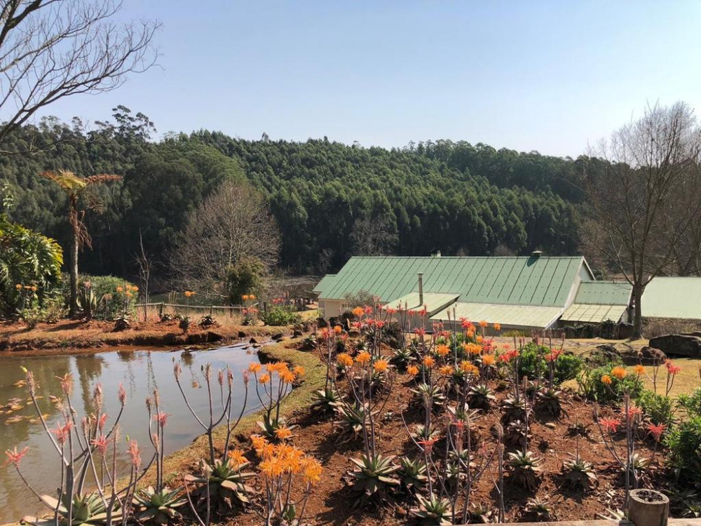 My Travelution - Travel Club - Lavender Trout guest farm
