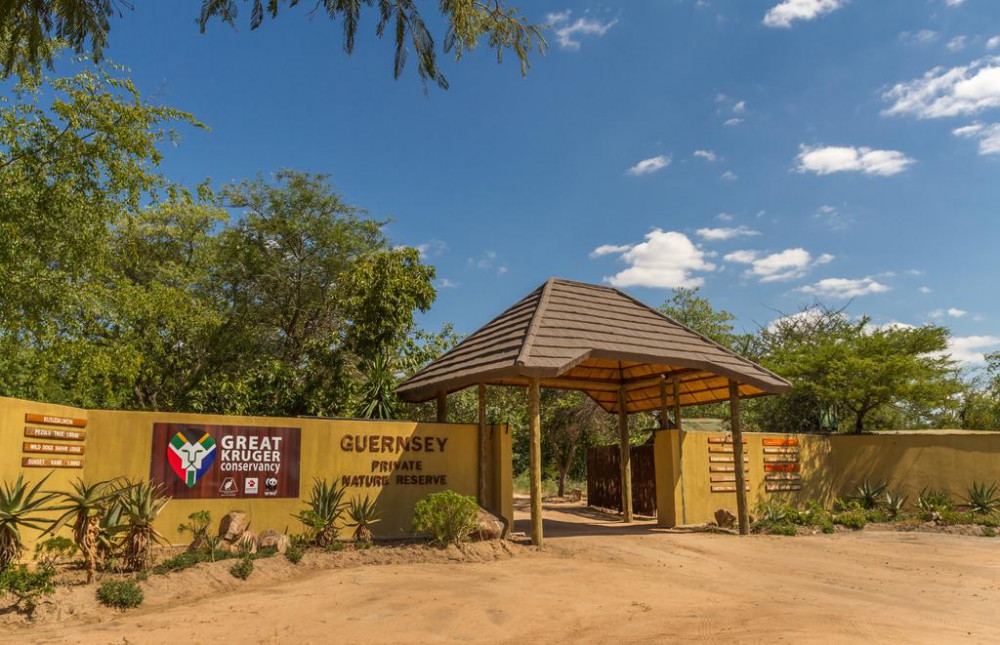 My Travelution - Travel Club - Panzi Lodge