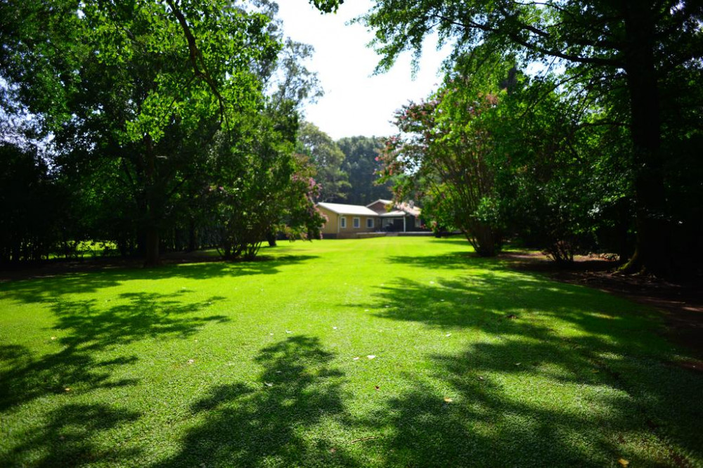 My Travelution - Travel Club - Henley River Lodge