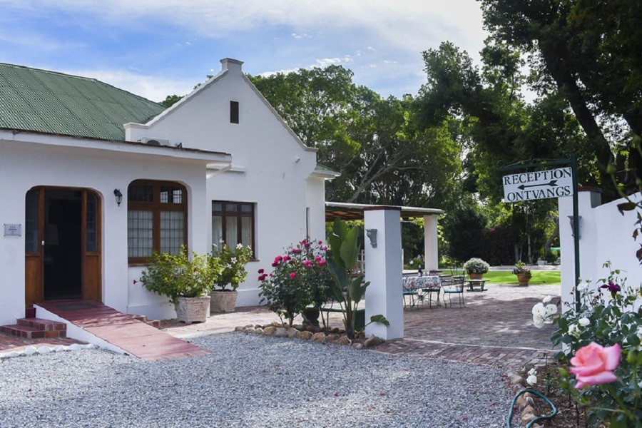 My Travelution - Travel Club - The Green Olive Guest house Robertson