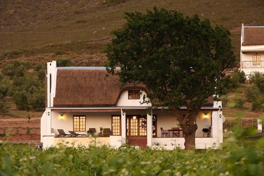 My Travelution - Travel Club - Orange Grove Farm