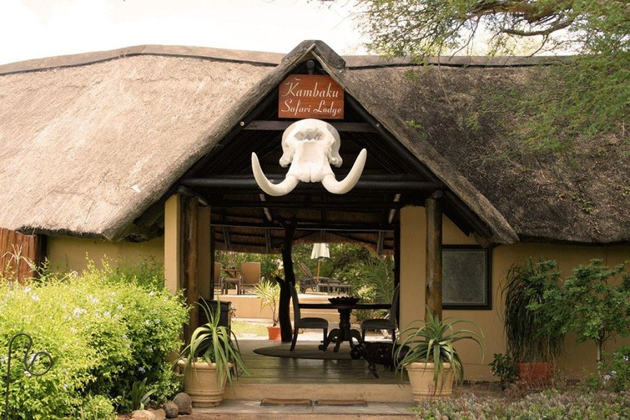 My Travelution - Travel Club - Kambaku Safari Lodge