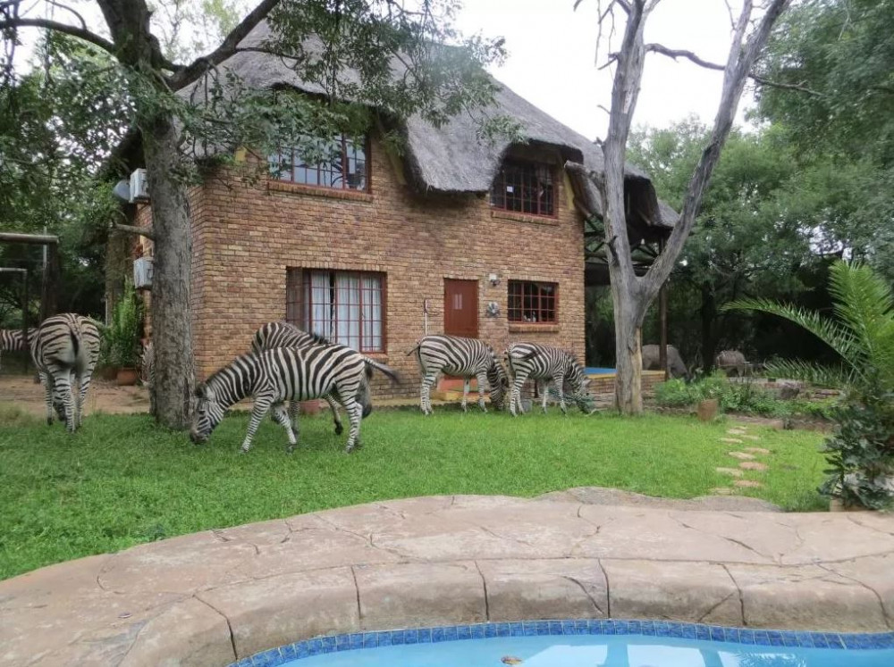 My Travelution - Travel Club - Rafiki's Resthouse
