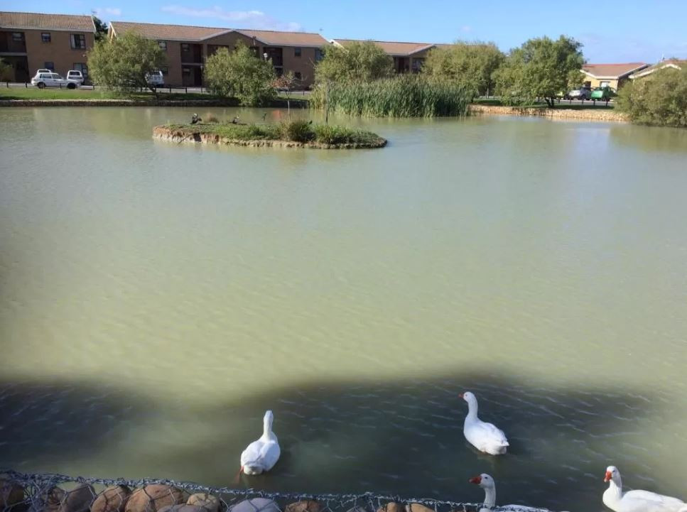 My Travelution - Travel Club - DCS Accommodation Cape Gate