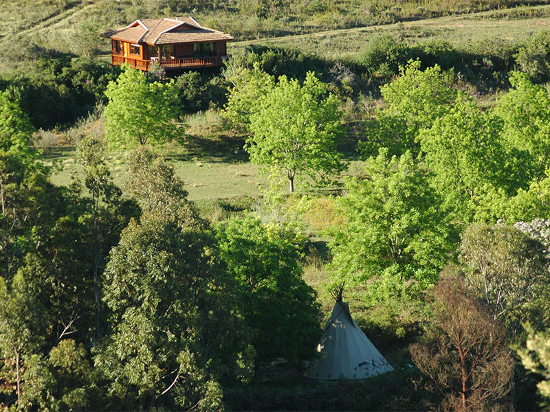 My Travelution - Travel Club - Outeniqua Mountain Lodge