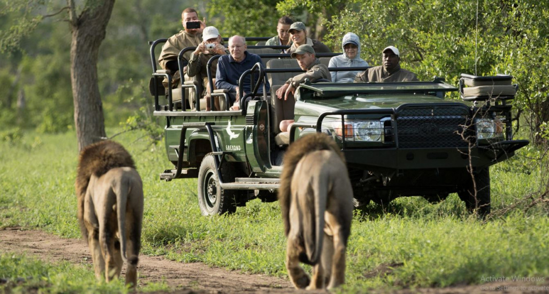 My Travelution - Travel Club - &beyond Ngala Safari Lodge