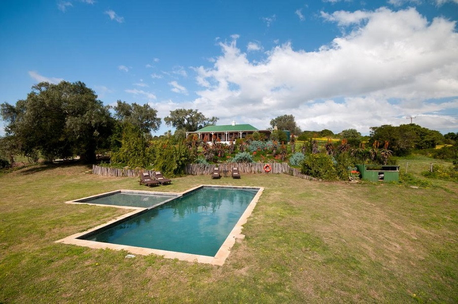 My Travelution - Travel Club - Leeuwenbosch Shearers Lodge - Amakhala Game Reserve