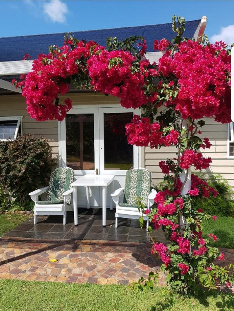 My Travelution - Travel Club - The Island Cottage