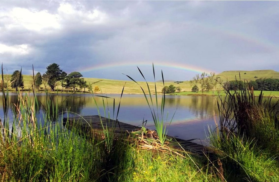 My Travelution - Travel Club - Invermooi Estate - The Cabin