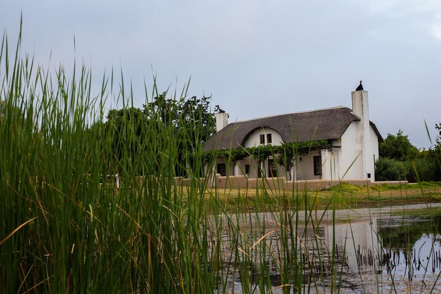 My Travelution - Travel Club - Manley Wine Estate