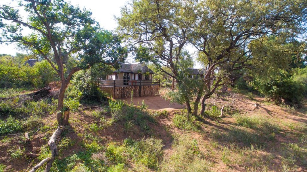 My Travelution - Travel Club - Baluleni Safari Lodge