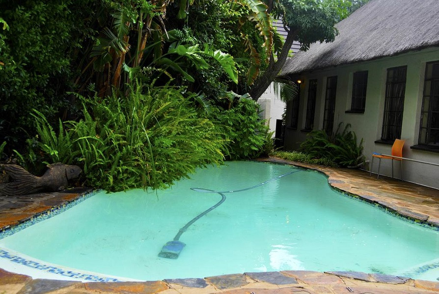 My Travelution - Travel Club - Birch Tree Cottage