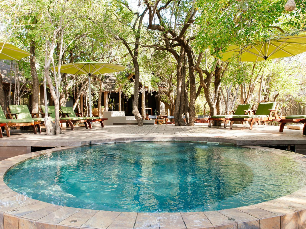 My Travelution - Travel Club - Tambuti lodge