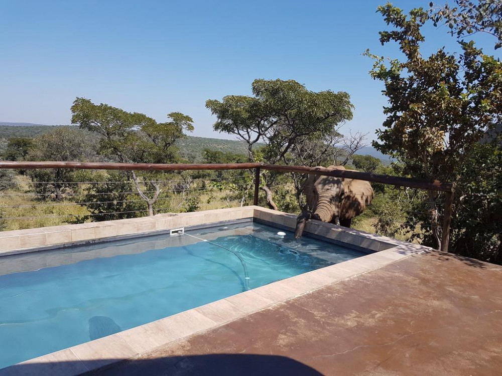 My Travelution - Travel Club - Wild Ivory Game Lodge