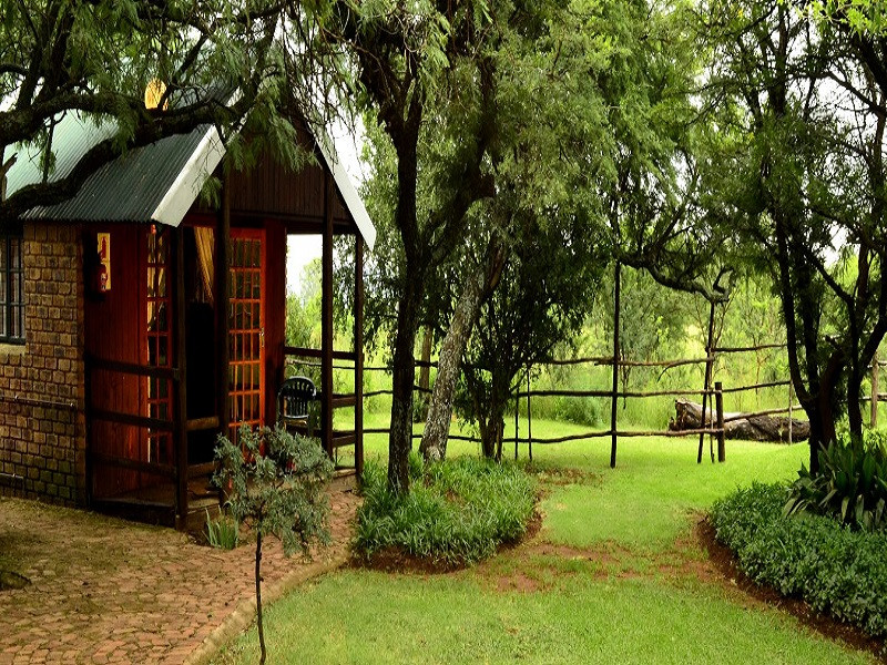 My Travelution - Travel Club - Roy's Lodge