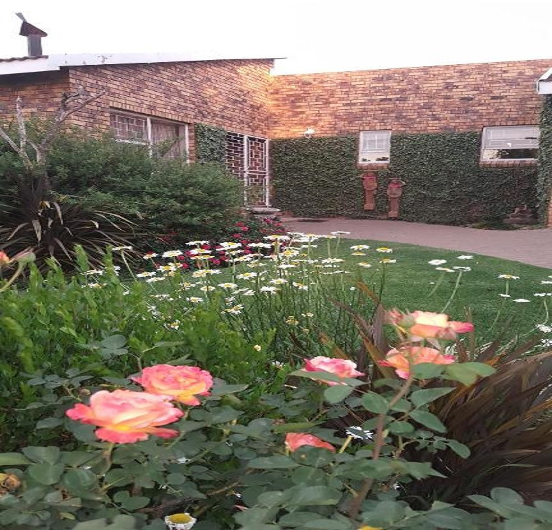 My Travelution - Travel Club - Gemsbok Cottage