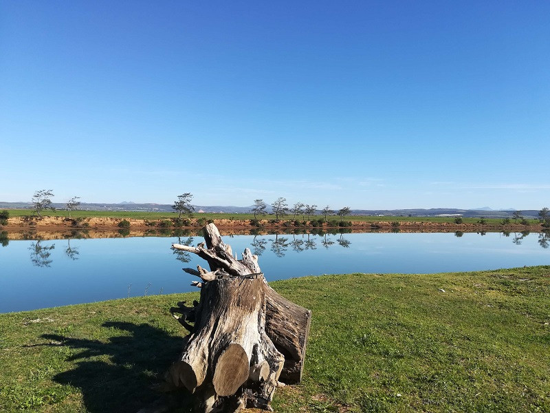 My Travelution - Travel Club - The Ferry Hotel Gamtoos Caravan park