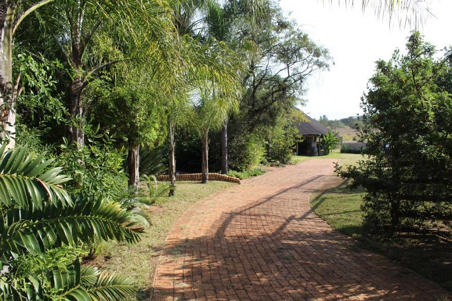 My Travelution - Travel Club - Honey Lodge